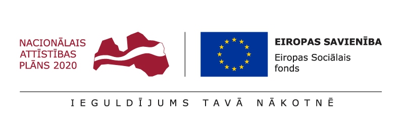 nap2020-es-logo