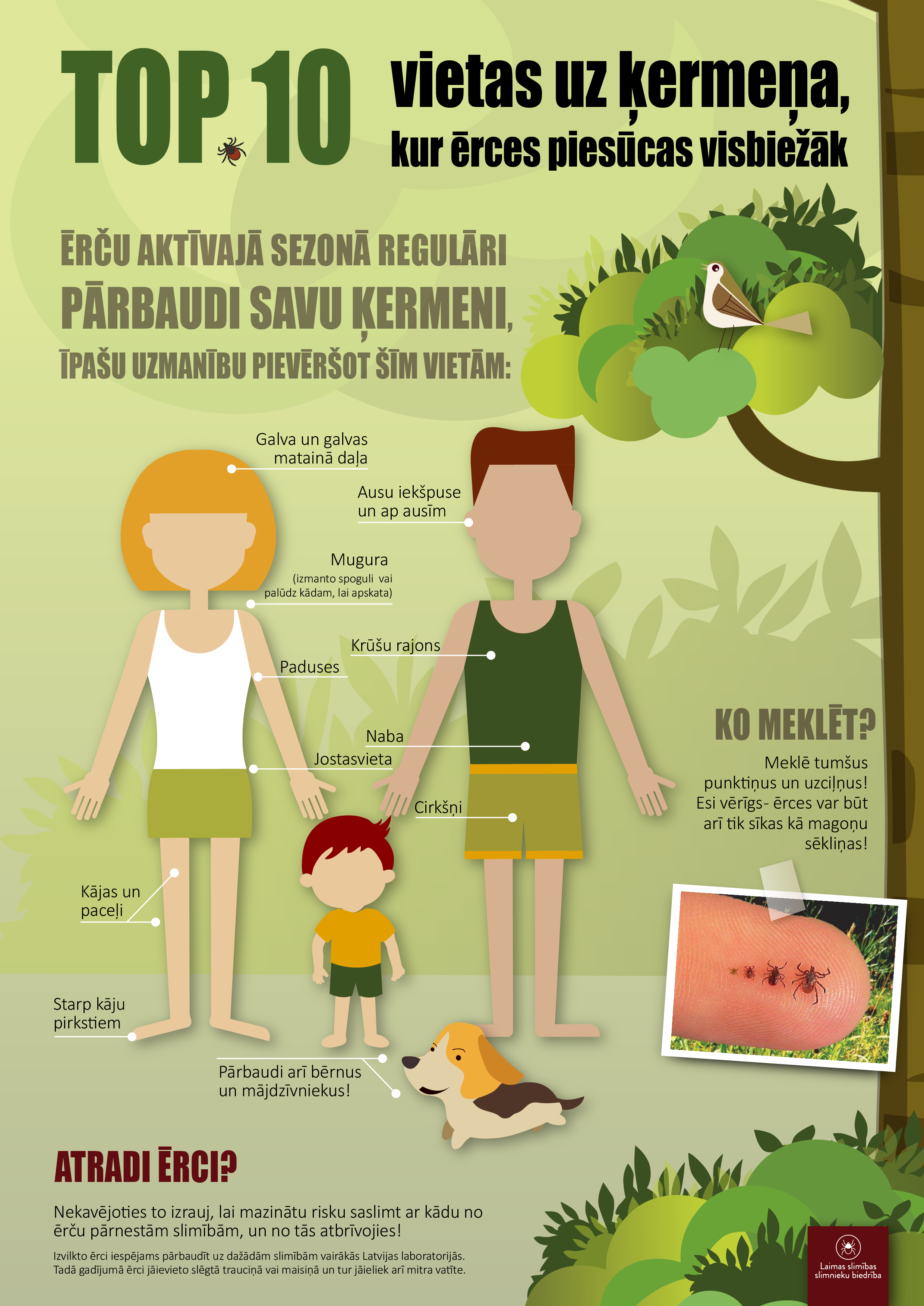 infografika TOP 10