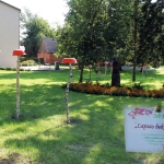 IMG 4559
