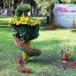 IMG 4574