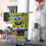 IMG 4578